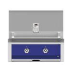 Aspire By Hestan 30-Inch Built-In Natural Gas Grill - Prince - EAB30-NG-BU New