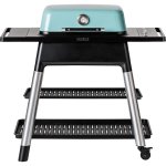 Everdure By Heston Blumenthal FORCE 48-Inch 2-Burner Propane Gas Grill With Stand - Mint - HBG2MUS New