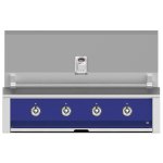 Aspire By Hestan 42-Inch Built-In Natural Gas Grill - Prince - EAB42-NG-BU New