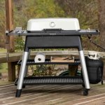 Everdure By Heston Blumenthal FURNACE 52-Inch 3-Burner Propane Gas Grill With Stand - Stone - HBG3SUS New